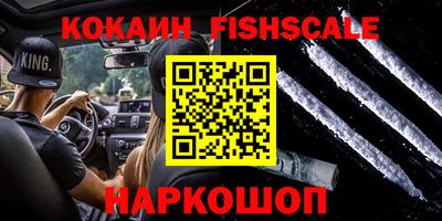 кокс Гатчина