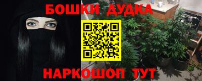 a pvp Гагарин