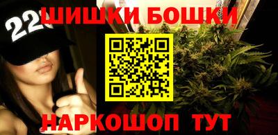 PSILOCYBIN Гай