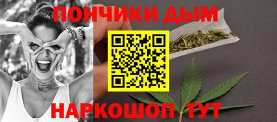 кокс Гатчина