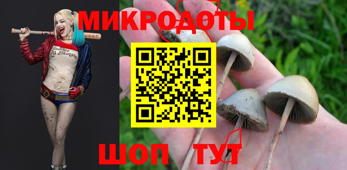 Медногорск  Галлюциногенные грибы MAGIC MUSHROOMS  Вход с VPN  купить наркоту  Псилоцибиновые грибы Psilocybe 